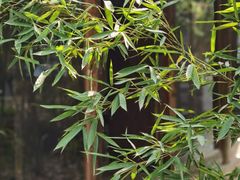 -驿舍·民國老营房院子私房菜(科学会堂店)