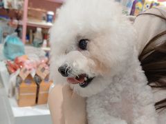 -FAELING PETS美天灵宠物(合生汇店)