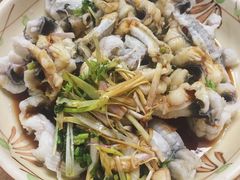白灼鳝片-陶虹海鲜餐厅(禅城石湾店)