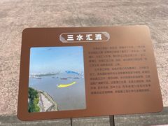 -上海滨江森林公园