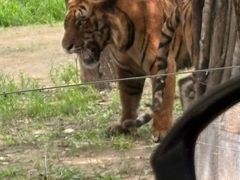 -秦皇岛野生动物园
