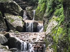 -牛背梁国家森林公园