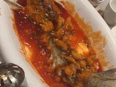 -金鼎轩(方庄天坛店)