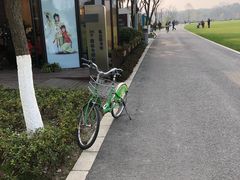 -昆山城市生态森林公园