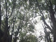 -龙潭水乡