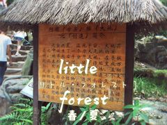 -西双版纳基诺山寨