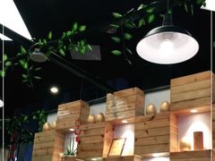 -南国锋味椰子鸡(瀚海店)