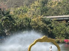 -西双版纳原始森林公园