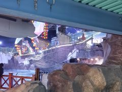 -海合安青岛极地海洋公园