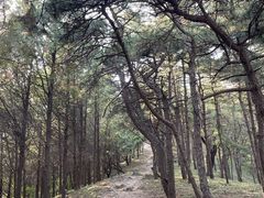 -北京鹫峰国家森林公园