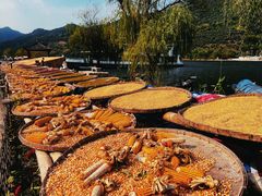 -新安江山水画廊风景区