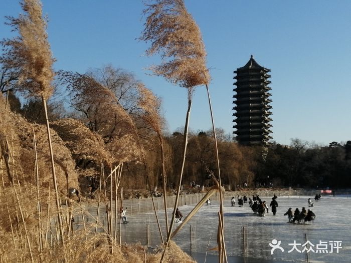 博雅塔图片