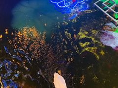 -鲜得来排骨年糕(豫园店)