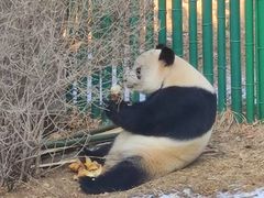 -大连森林动物园