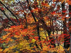 -本溪老边沟风景区