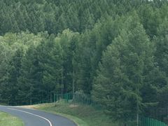 -塞罕坝国家级自然保护区