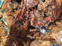 -映像威海·海鲜味道(市区店)