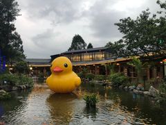 -大门水乡·顺德菜