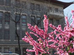 -山东大学(趵突泉校区)