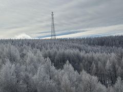 -塞罕坝国家级自然保护区