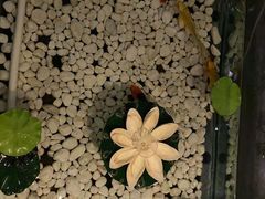 -樱蘭·影院足道·养生SPA(三里屯店)
