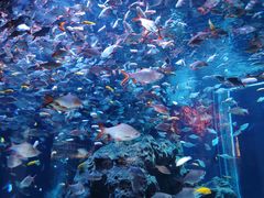 -成都浩海立方海洋公园