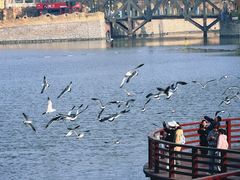 -大连海昌发现王国主题公园