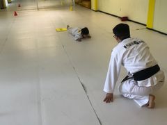 -勇气斑马·巴西柔术&跆拳道(浦东三林店)