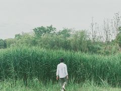 -白鹭湾湿地公园