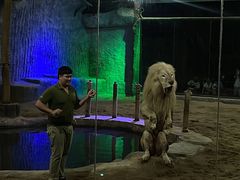 -清迈夜间动物园