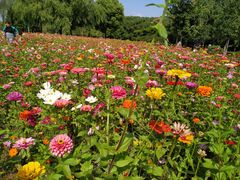 -闵行文化公园-停车场