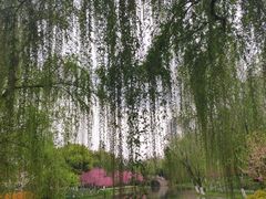-圩墩遗址公园