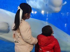 -泉城欧乐堡海洋极地世界