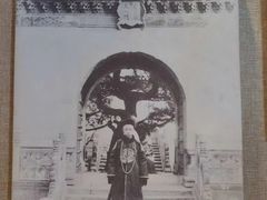 -静园(和平区)