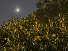 -芬芳四季养生会所(西溪店)