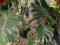 -漪龙台·B26 Rooftop Lounge