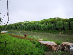 -柳鹭田园区