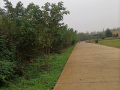 -汉长安城未央宫国家考古遗址公园