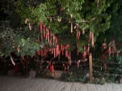 -南翠屏公园