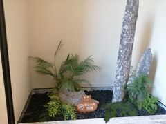 -小厨娘淮扬菜(六合欢乐港店)