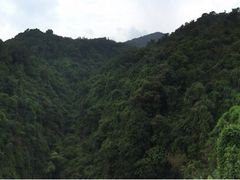 鼎湖山-鼎湖山风景区
