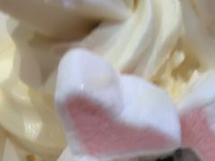 -狐狸和向日葵(北京路店)