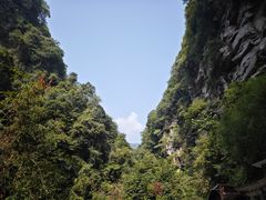 -碧峰峡风景区