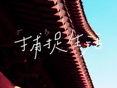 -莲宗寺