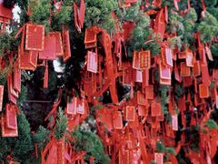 -莆田湄洲妈祖祖庙