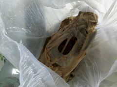 -老王四季抻面(南六东路店)
