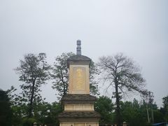 -西安乐游原