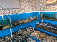 -港畔赶海蒸汽海鲜烧烤自助(仙螺岛店)