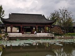-上海滨江森林公园