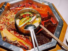 -蜀九香火锅(九眼桥店)